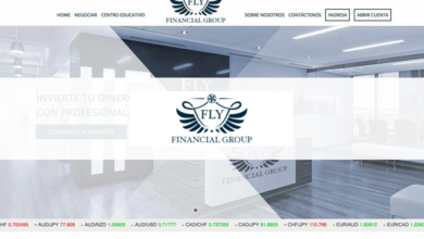 Fly Financial Group revision