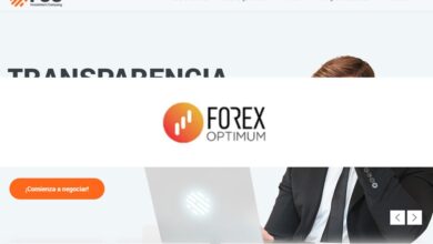 Forex Optimum