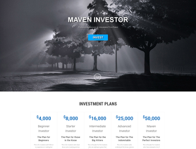 MavenInvestor.com