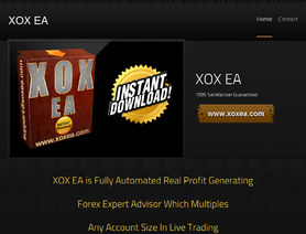 XOXEA.com